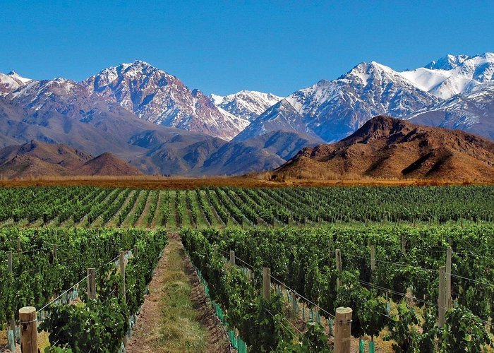 viñedos y montañas mendoza argentina